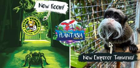 Plantasia July 2026