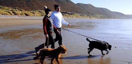 Dog walkers on the beach