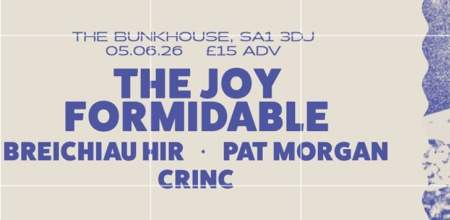 Gwyl tawe event - Welsh-language culture