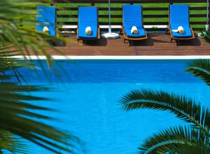 lounge chairs by a swimming pool