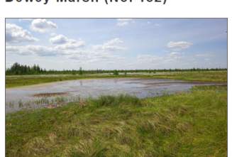Dewey Marsh Wildlife Area
