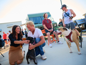 BCT Ope Dogs