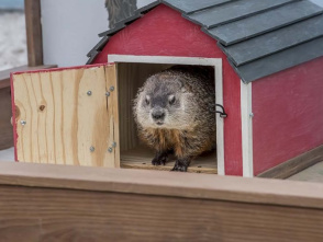 Groundhog Day Itinerary