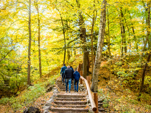 Seven Bridges Fall Family