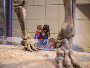 Milwaukee Public Museum