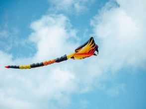 Milwaukee Kite
