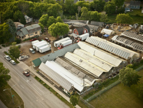 The Farm Music Festival