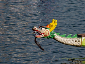 Milwaukee Dragon Boat Festival 2026
