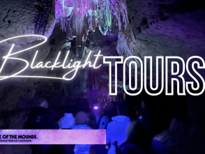 Black Light Tour