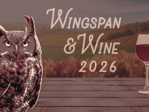 Wingspan & Wine