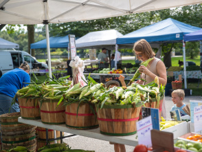 Thiensville Farmers Market