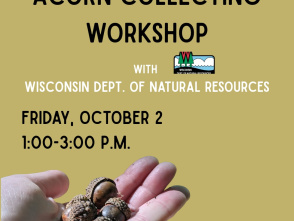 Acorn Collecting Workshop at the Forest Exploration Center