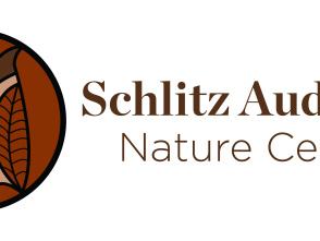 Paper Lantern Illuminated Hike