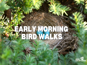 Early Morning Bird Walk at Riverside Park
