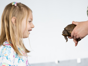 🐢Animal Encounters