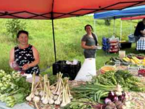 Hartung Park Farmers Market