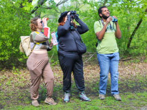 Evening Bird Walk with the BIPOC Birding Club of WI