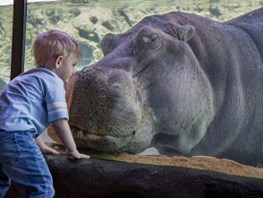 Mother's Day at the Zoo
