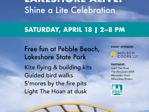 Lakeshore Alive – a Shine a Lite Celebration