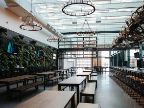 Pilot Project Brewing