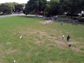 Roverwest Dog Park