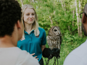 Introduction to Bird Language