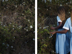 Special Edition Gallery Talk with Widline Cadet