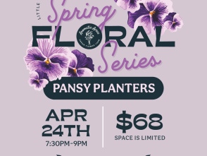 Little Village x Aromatic Acres present: Pansy Planter Workshop 🌸
