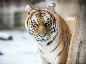 Milwaukee County Zoo