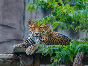 Milwaukee County Zoo