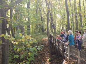 Audubon Bird Hike: Spring Migrants