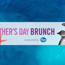Mother's Day Brunch at Newport Aquarium
