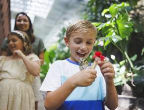 Branson Rainy-Day Backup Plan: Indoor Things to Do in Late Spring