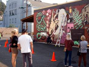 Live painting audience
