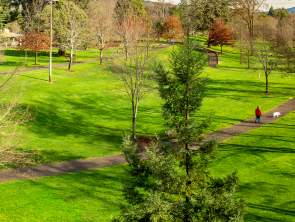 Parks