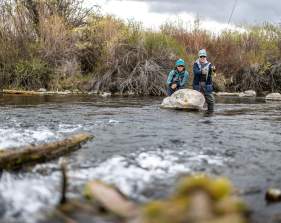 Finding Peace and Purpose: A Look at Warriors & Quiet Waters