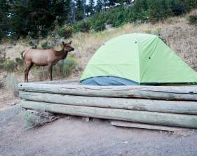 Camping in YNP