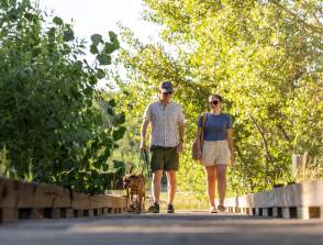 Two friends walking a dog along the Poudre River Trail
