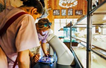 Educational Opportunities for Students in the Branson Area