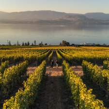 CedarCreek_Estate_Winery_Vineyards_in_Fall_Aerial_1_