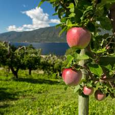 Farms, Orchards and Gardens