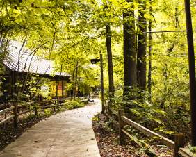 Wesselman Woods Playscape and Fort