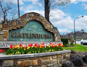 Gatlinburg Blooms in Spring