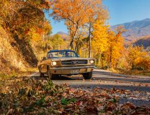 5 Fantastically Fun Reasons to Visit Gatlinburg This Fall