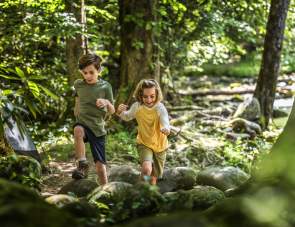 Why the Smoky Mountains Are Perfect for Families: Kid-Friendly Hikes, History & Wildlife