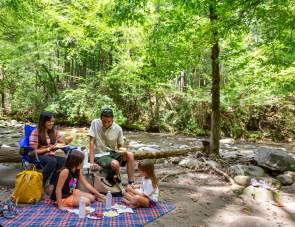 Top 8 Things to Do This Summer in Gatlinburg