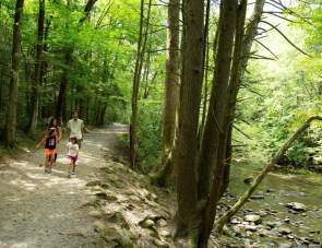 Gatlinburg’s Best Outdoor Activities By Season