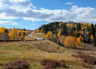 A two-lane road winds through a rural forested area, with evergreen trees and other trees with fall foliage present.