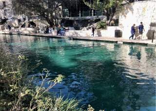 Bud Light St. Patrick's River Parades & Celebrations + River Dyeing