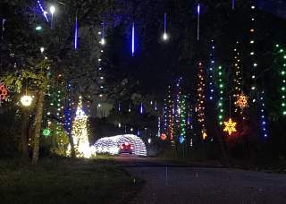 Campfire Lights